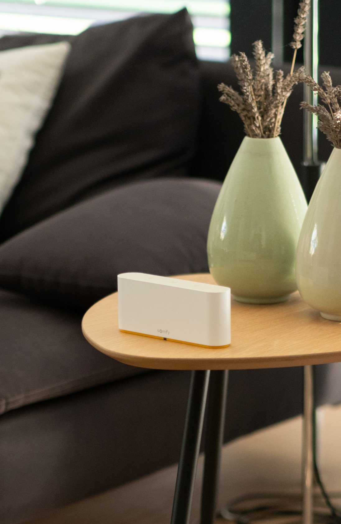 Smart Home Smart Home