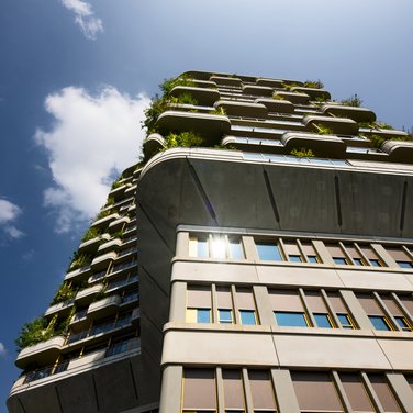 Inspiration Inspiration