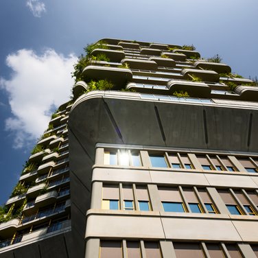 Inspiration Inspiration