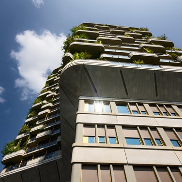 Inspiration Inspiration