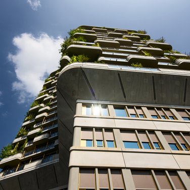 Inspiration Inspiration