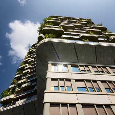 Inspiration Inspiration