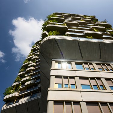 Inspiration Inspiration