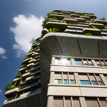 Inspiration Inspiration