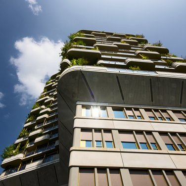 Inspiration Inspiration