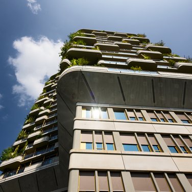 Inspiration Inspiration