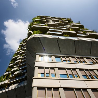 Inspiration Inspiration