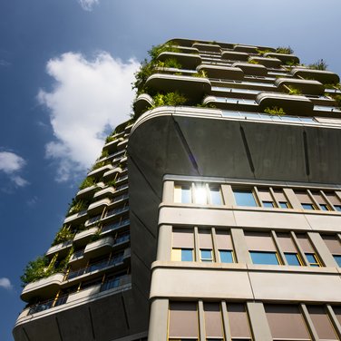 Inspiration Inspiration