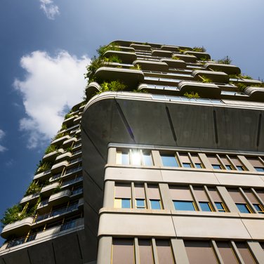 Inspiration Inspiration