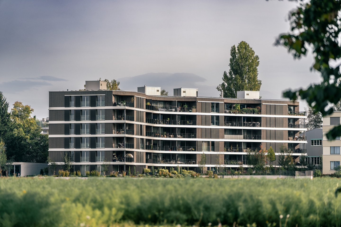 Projekt Sunnehof Fällanden