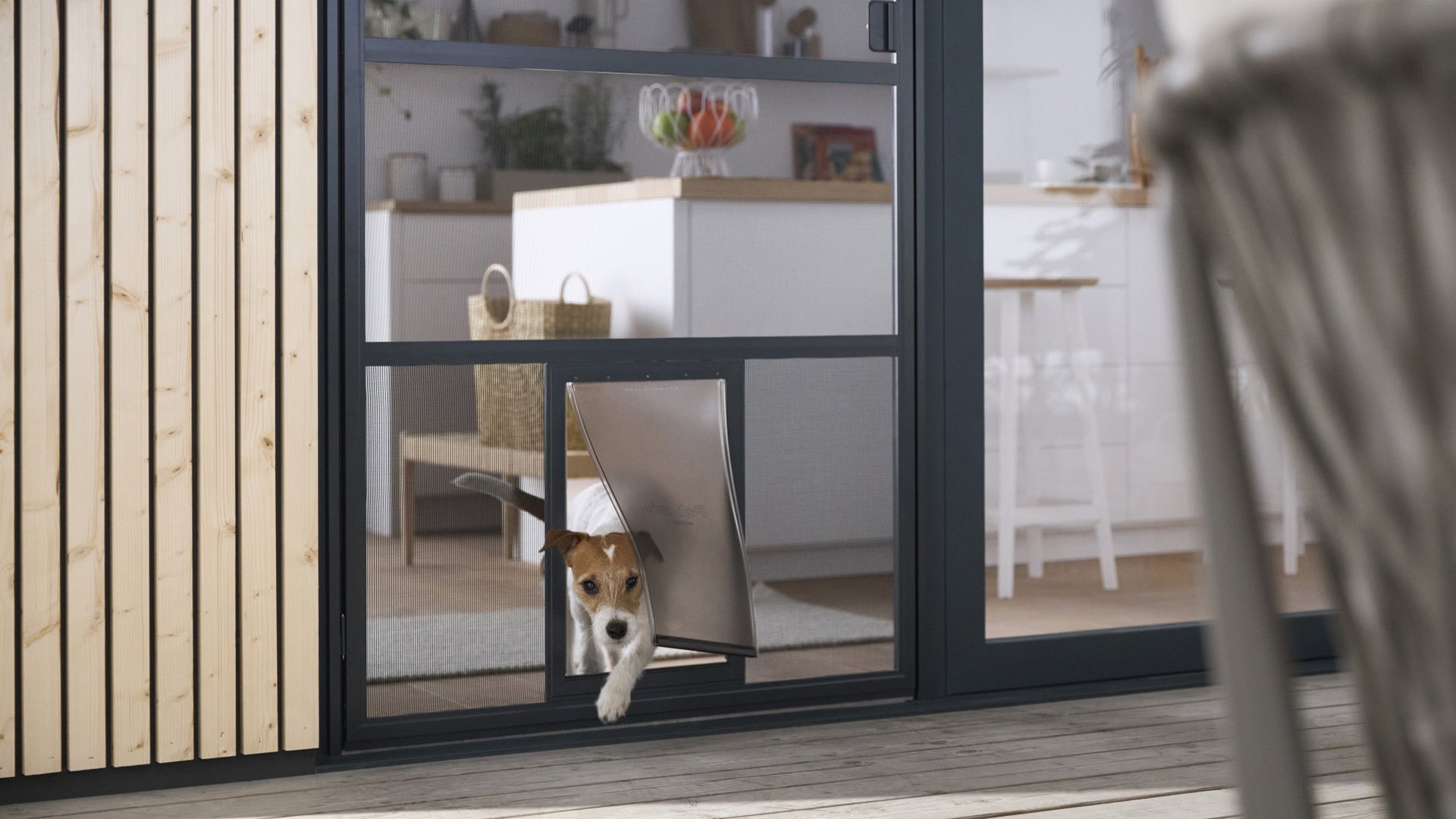 Fliegengitter und Insektenschutz mit Hundeklappe